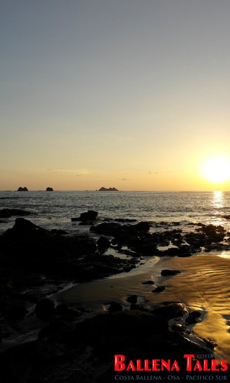 Playa Ballena playa ballena costa rica 4 Playa Ballena