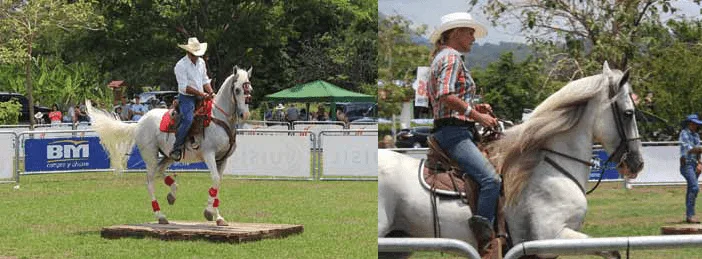 480 Horse Riders - Ballena Tales Magazine & Travel Guide  