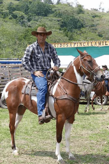 480 Caballistas - Osa, Uvita - Ballena Tales Magazine & Travel Guide