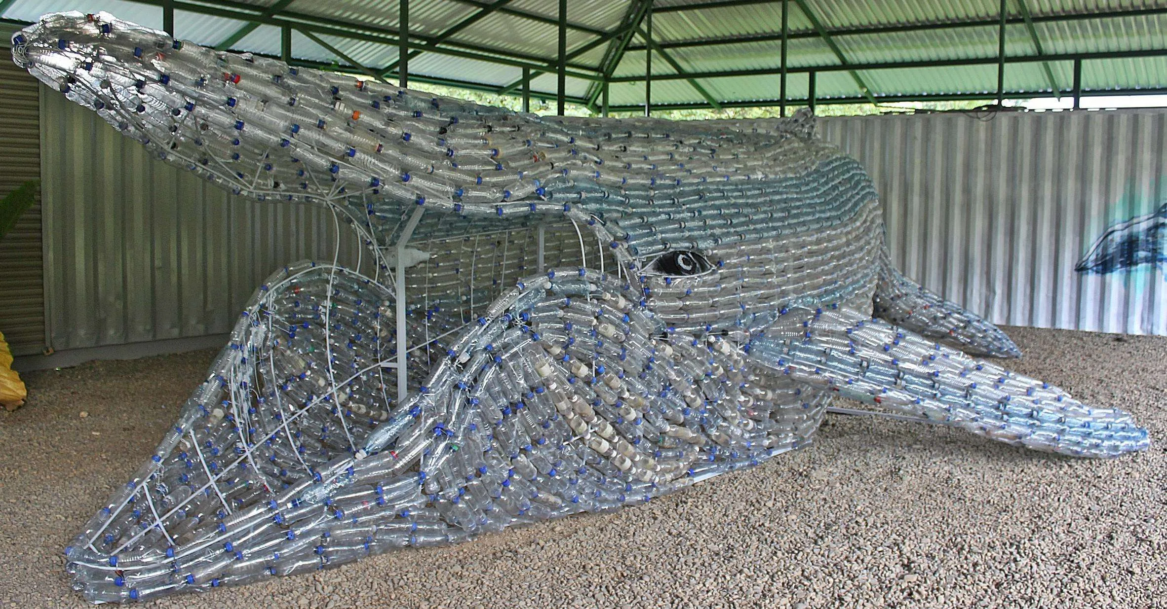 Find the plastic whale in Bahía