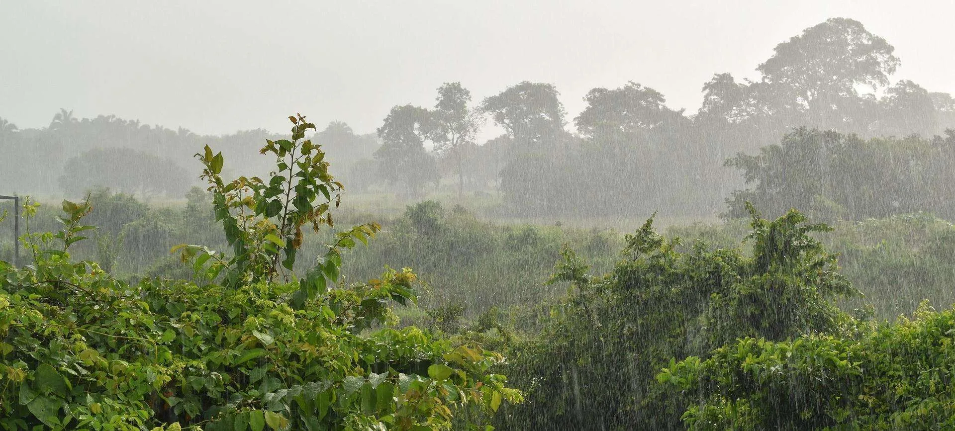 Las ventajas de la Temporada “baja”