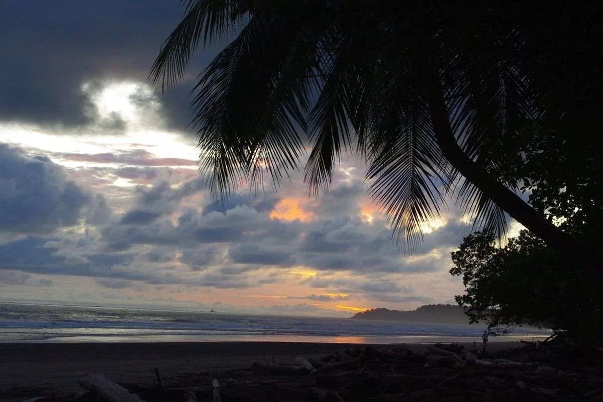 Playa Colonia Chaman Parque Marino Ballena 15