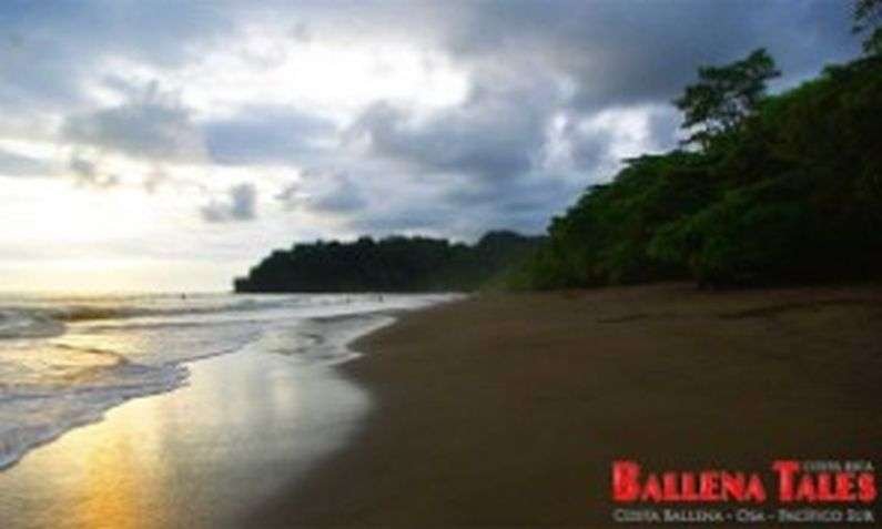 Playa Ballena