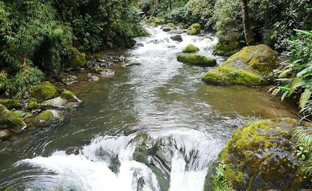 Savegre River, Ecological and Cultural Bastion of Costa Rica and Central America