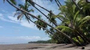 Verbesserung der Infrastruktur des Nationalparks Marino Ballena, Südpazifik Costa Rica