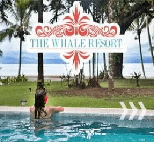 THE WHALE RESORT