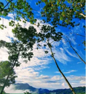 osa- living with nature in ocvsa
