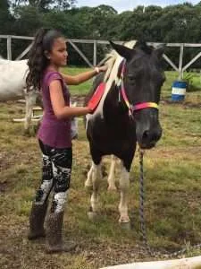 meaningful relationships between girls and horses