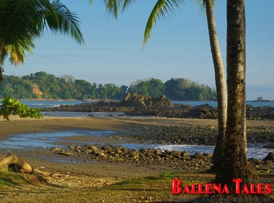 BEACHES OF COSTA BALLENA // LAS PLAYAS DE COSTA BALLENA >>>