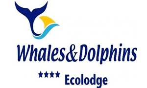 Whales Dolphins - Uvita - Costa Rica