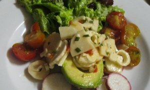 lacusingaecolodge-costarica-12