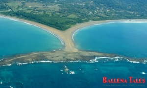 Aerial View of Whale's Tail - Uvita - Costa Rica, Playa Uvita - Parque Marino Ballena, Pacífico Sur, Costa Rica
