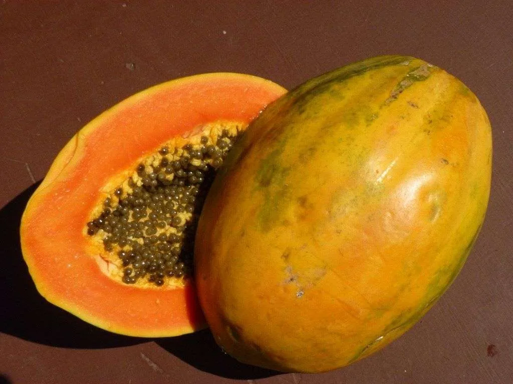 Fresh from the Feria: Papaya, semillas, seeds