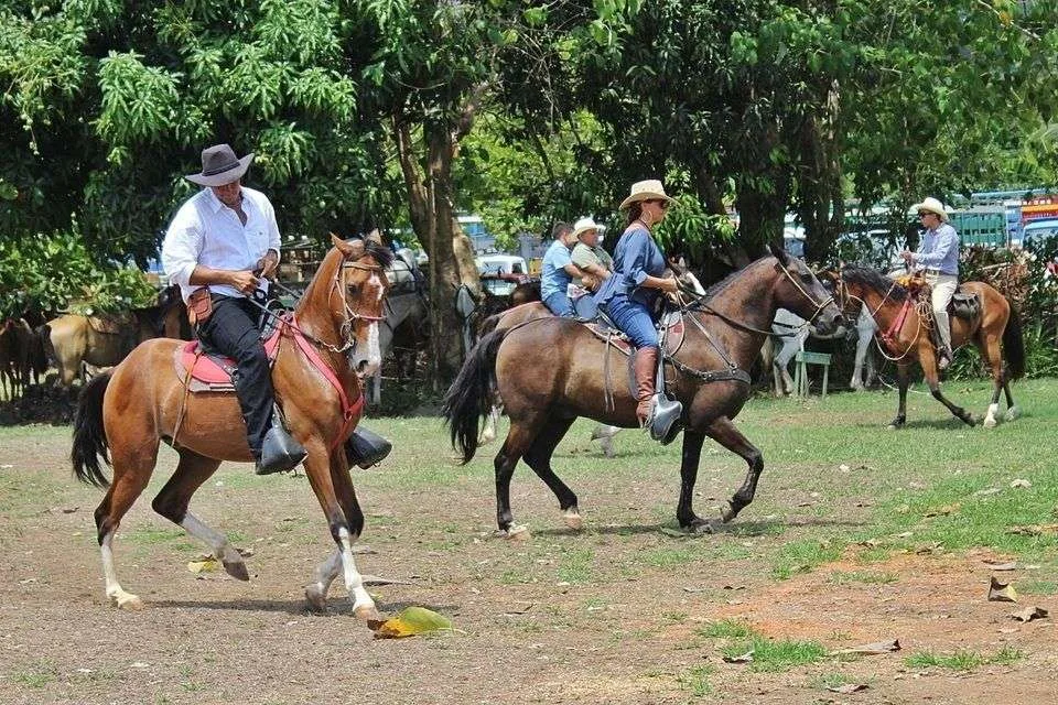 Eventos en Costa Ballena, Pacífico Sur, Costa Rica