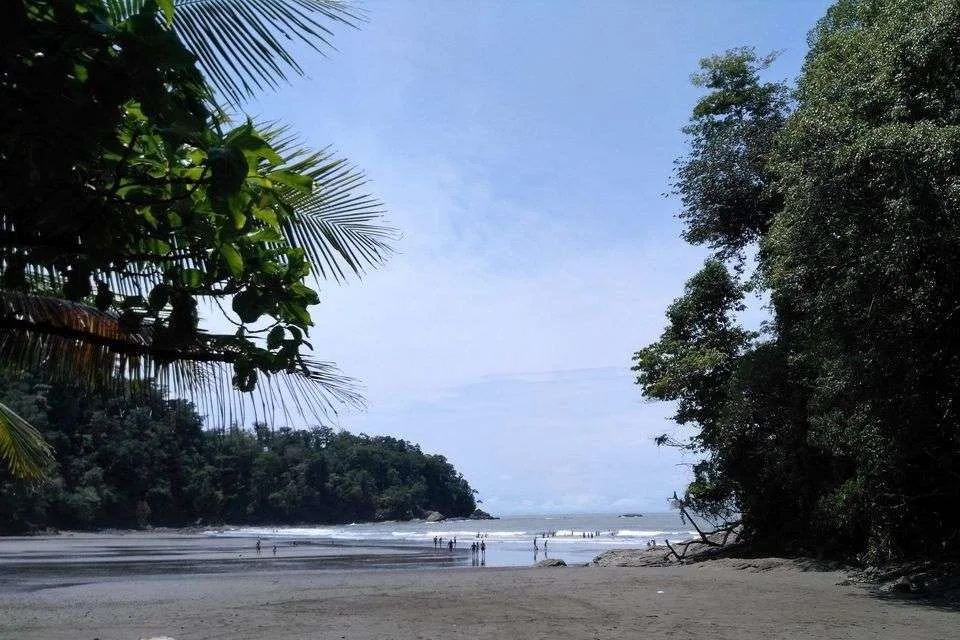 sta Ballena, Osa, Pacifico Sur Costa Rica