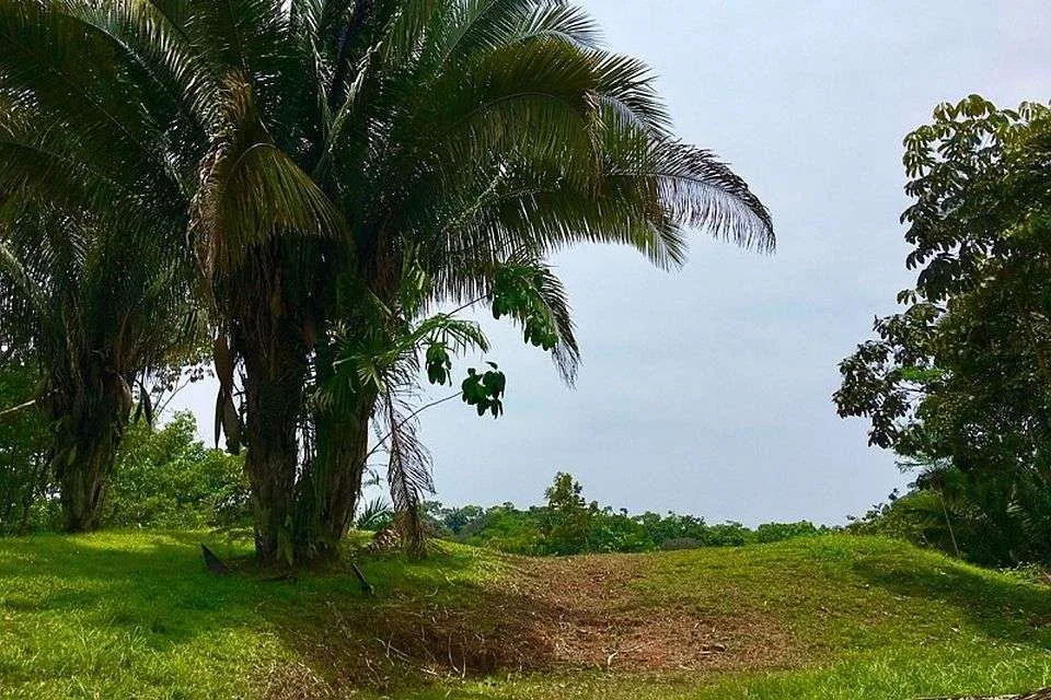 lots and home for sale in Ojochal