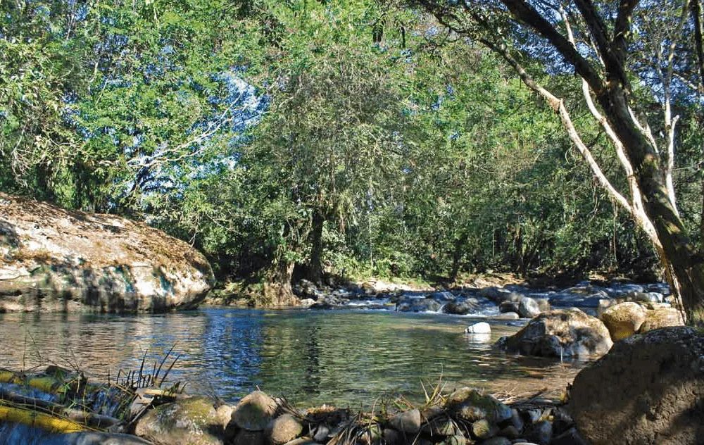 Revitalize Yourself in the Valley of Chirripó! - Uvita, Osa - Ballena Tales