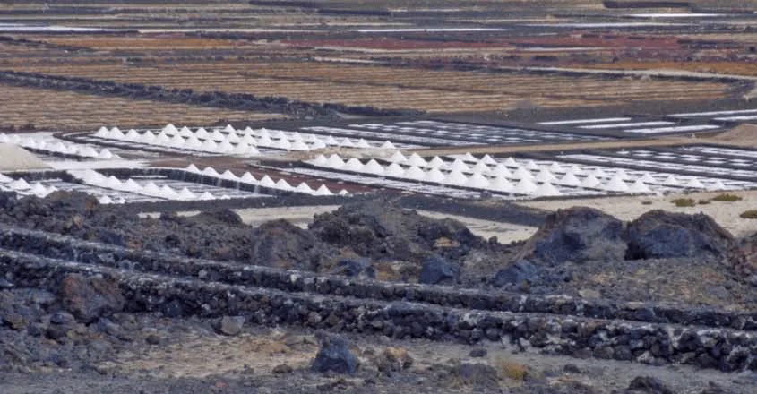 Fresh At The Feria: Salt - Osa, Uvita, Costa Ballena - Ballena Tales
