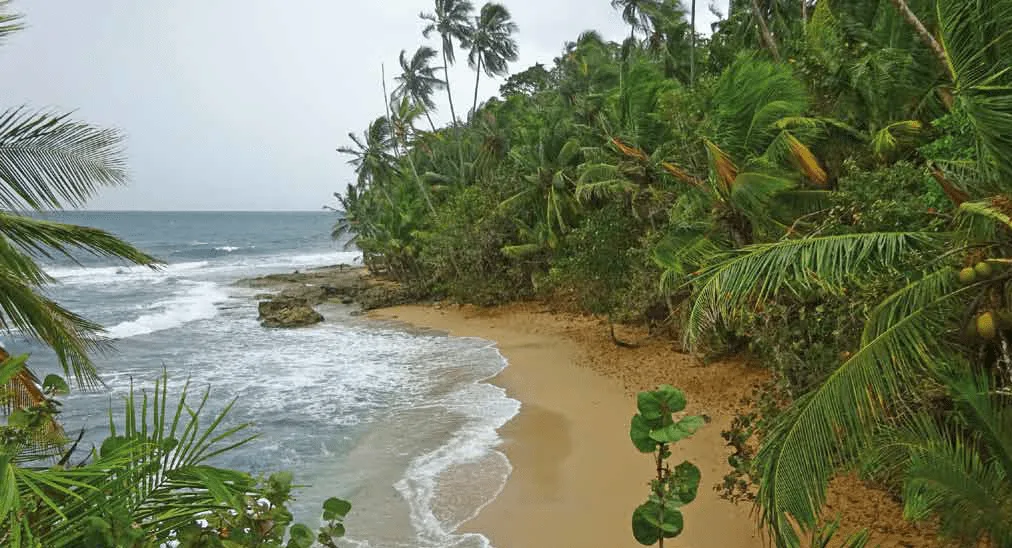 Costa Rica: A Giant Example of Peace, Harmony, and Democracy - Osa