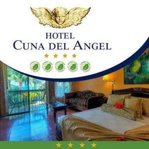 Descuentos Festival de Ballenas y Delfines