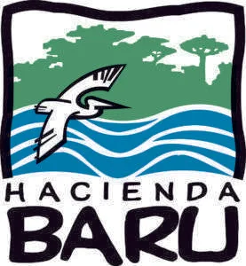 Descuentos Festival de Ballenas y Delfines