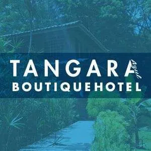 Descuentos Festival de Ballenas y Delfines