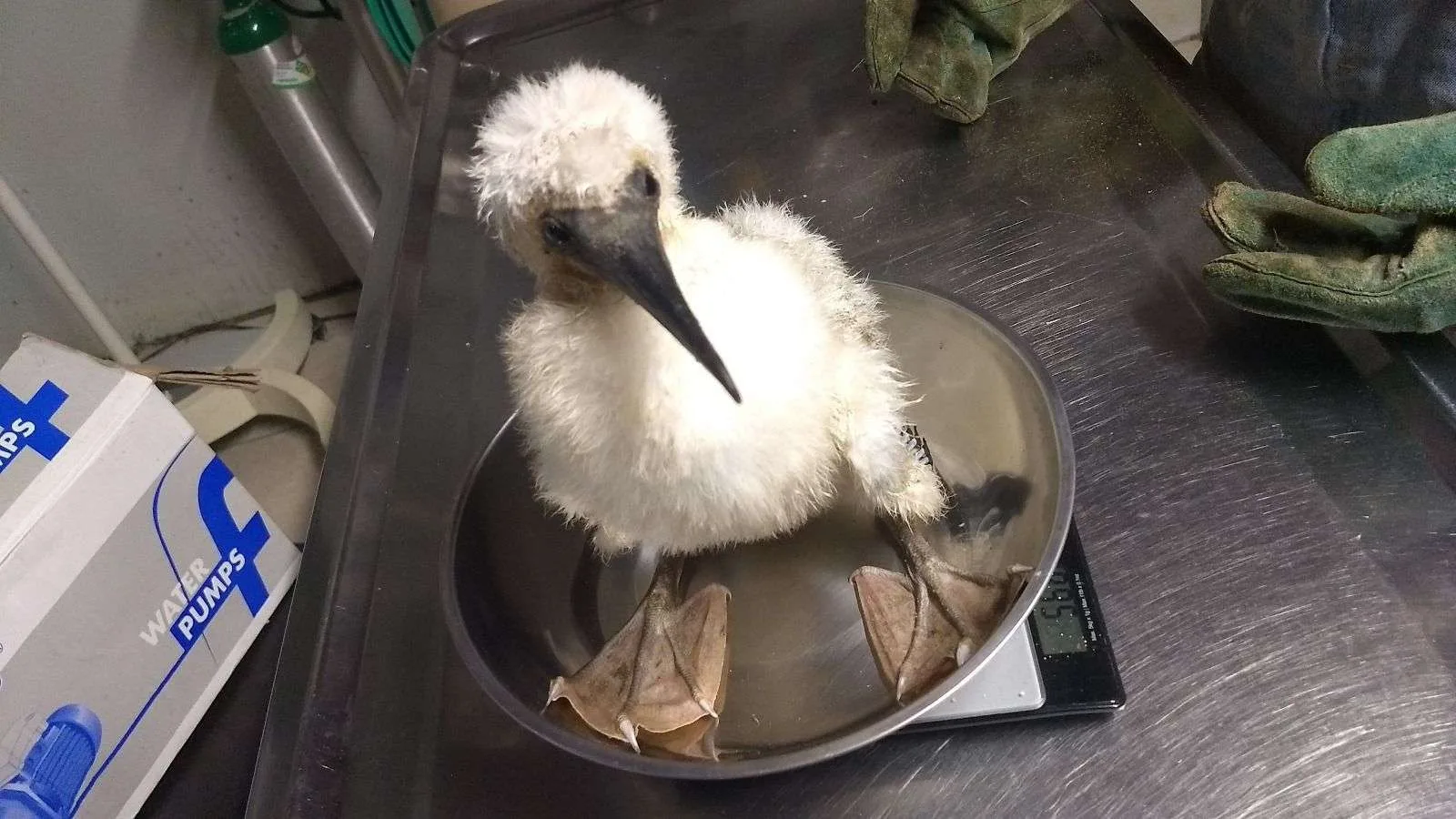 7054de28 8c83 40ac a181 74733f8ec98b