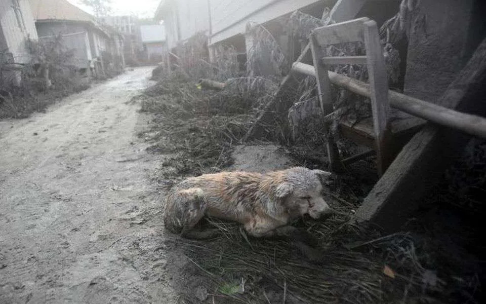 Costa Rica, Storm Nate. donate and help victims