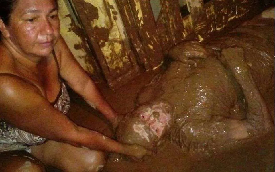 Costa Rica, storm Nate. donate and help victims