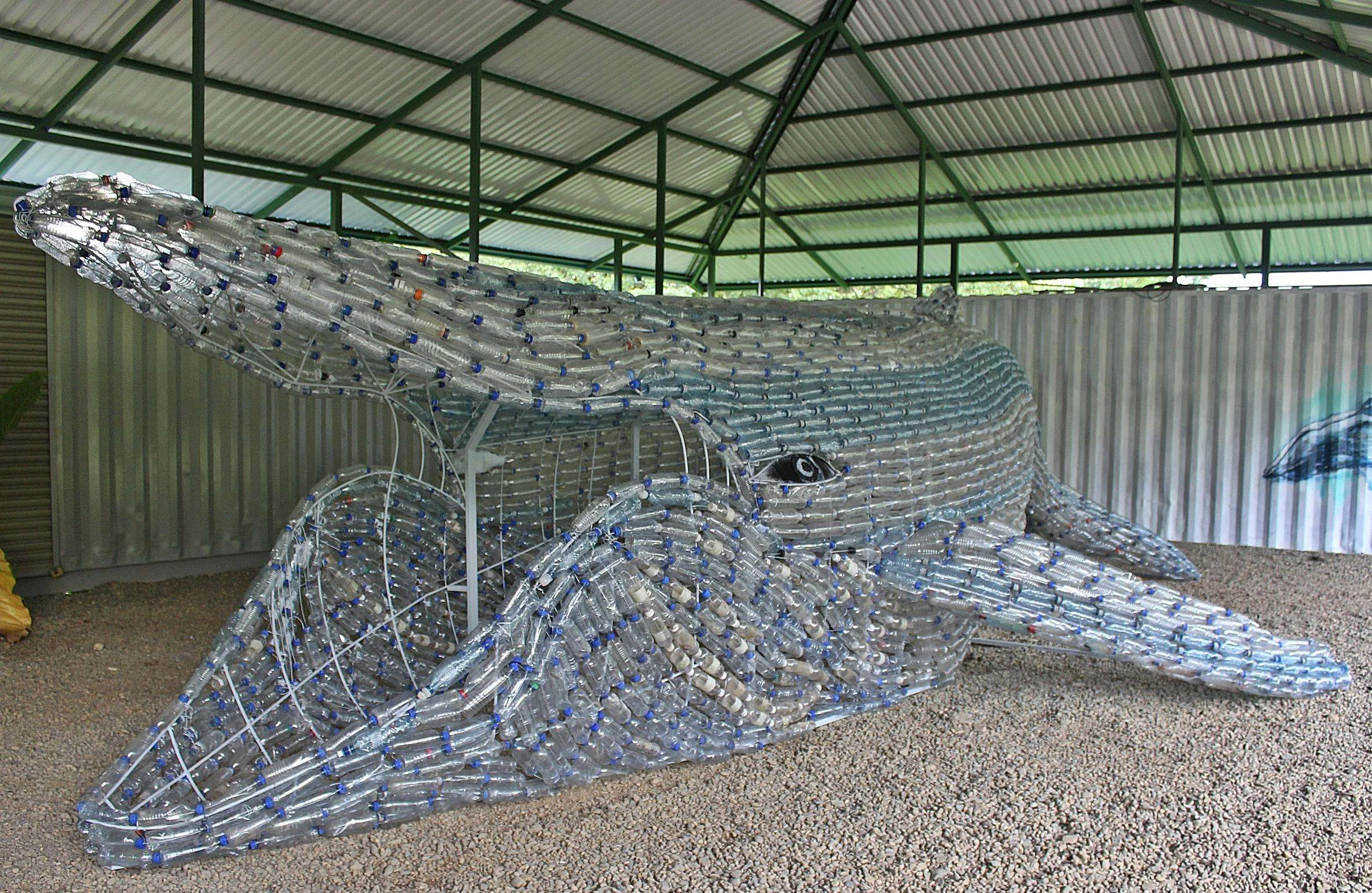 Find the plastic whale in Bahía