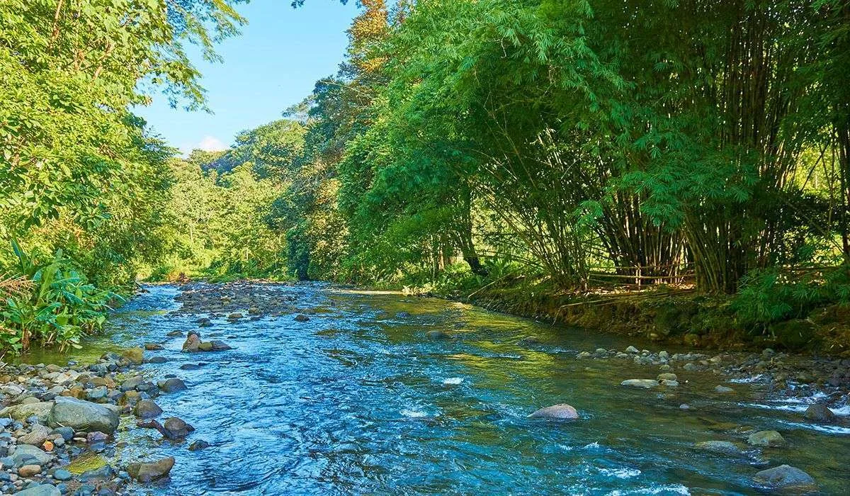 manoas luxury camping costa rica river 2