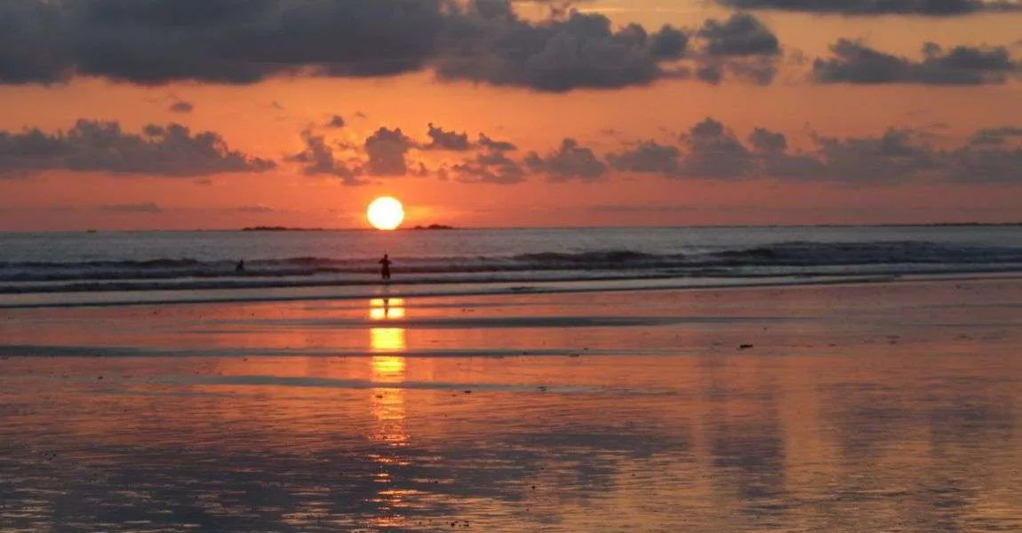 Playa Colonia Chaman, Parque Marino Ballena National Park
