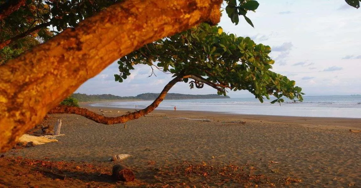 Colonia Beach, Parque Nacional Marino Ballena, Costa Rica