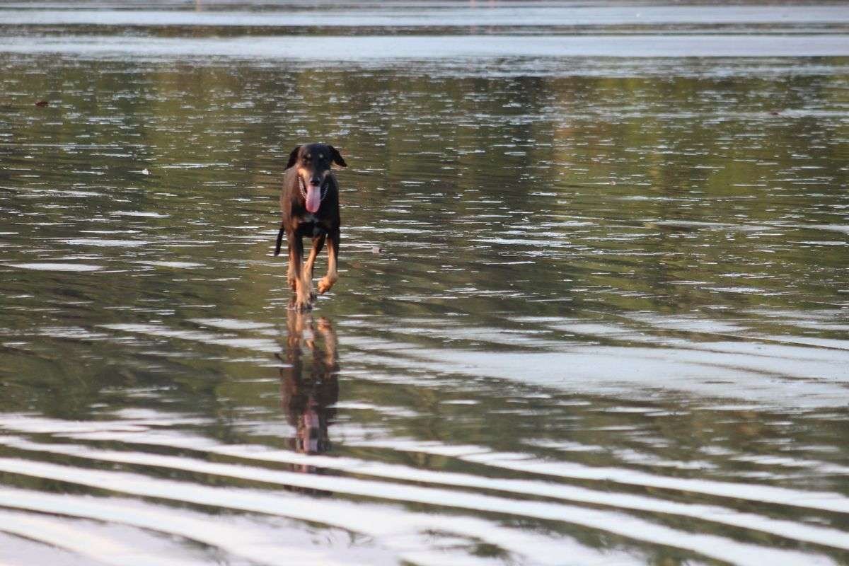 Marino Ballena National Park