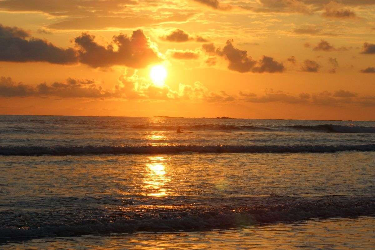 Playa Colonia Chaman Parque Marino Ballena 7
