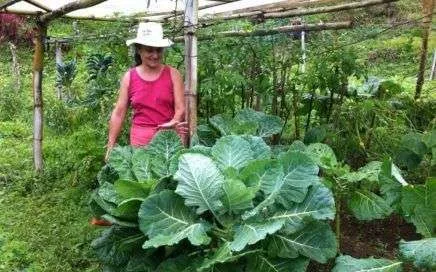 26613493 1747717591929582 1138623873 o