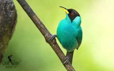 26736088 1754650364569638 1042189608 o 1