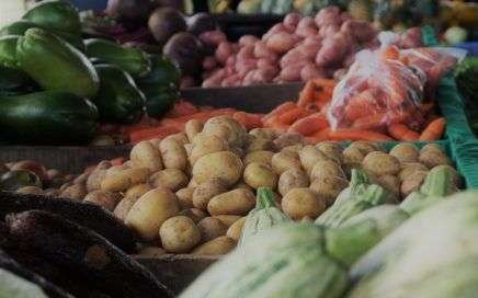 Food Market
