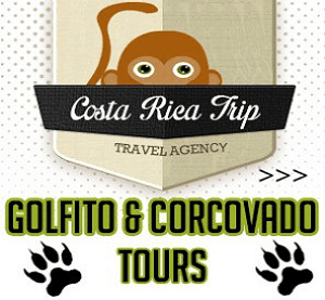 Golito Corcovado Tour