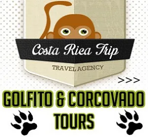 Golito Corcovado Tour