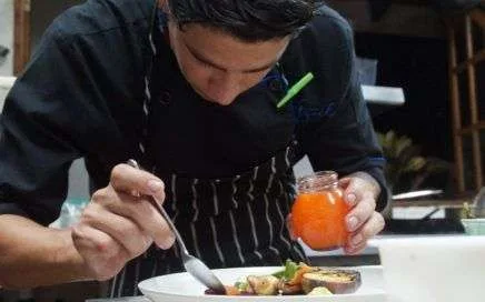 gastronomy, gourmet food, Castillo Hotel,