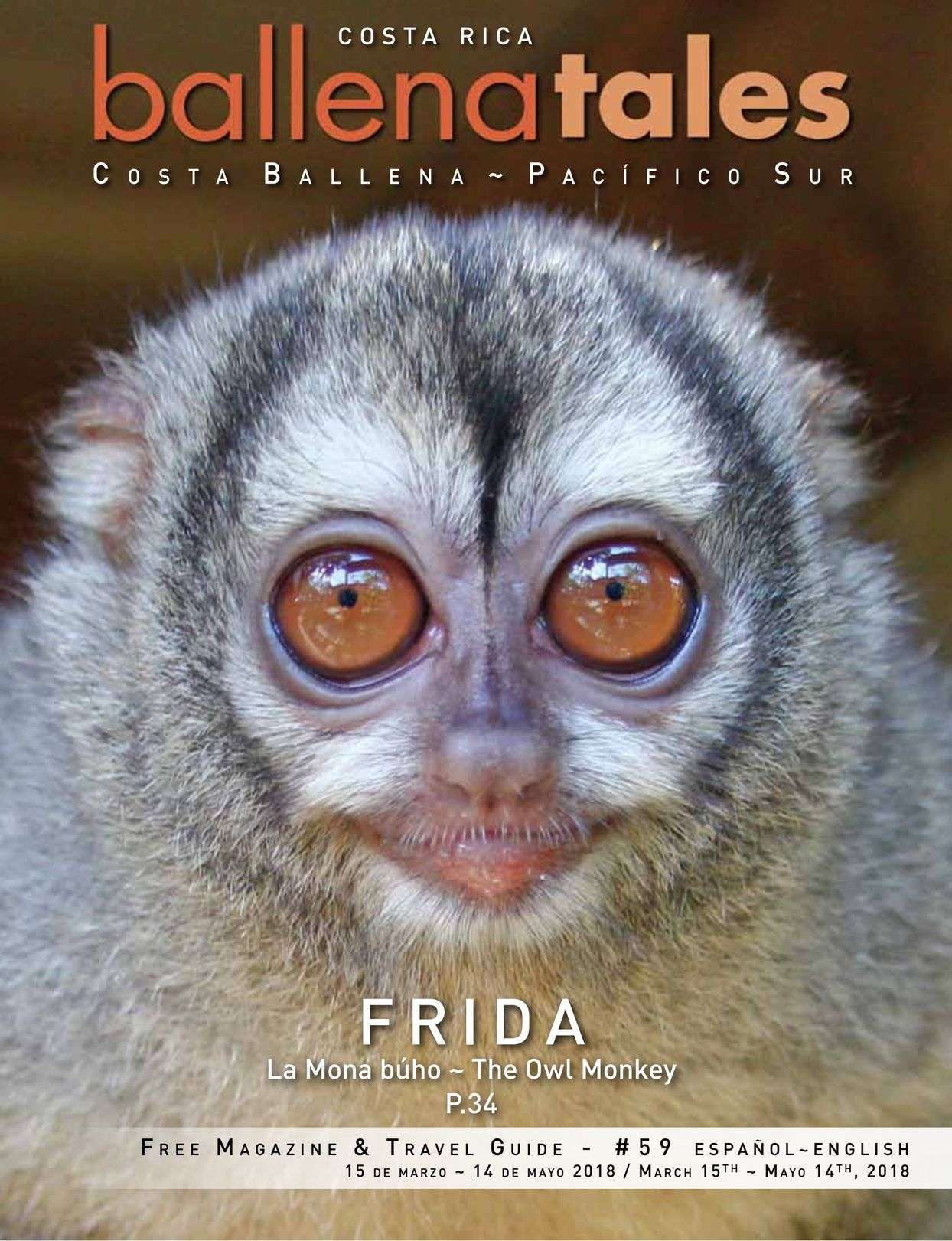 Frida the owl monkey, Costa Rica Vacacations