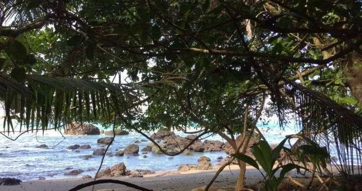 GOLFO DULCE COSTA RICA