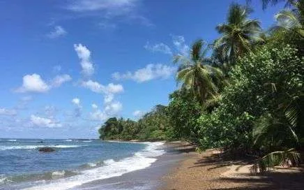 Corcovado, Happy Is Healthy Golfo Dulce