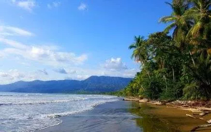 Stay safe at Playa Uvita, Uvita Beach, Marino Ballena National Park