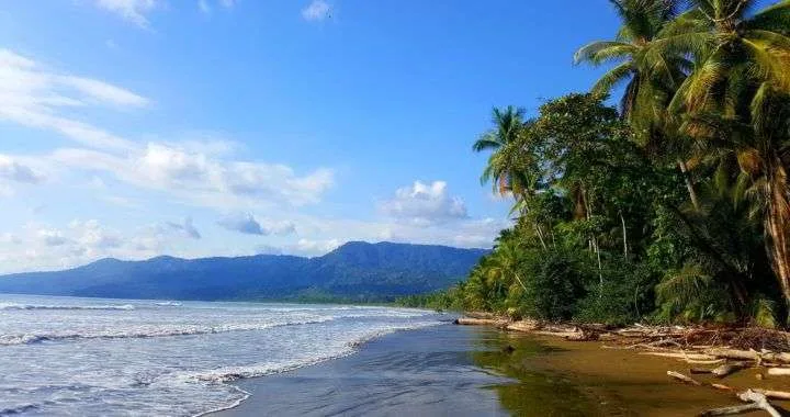Parque Marino Ballena