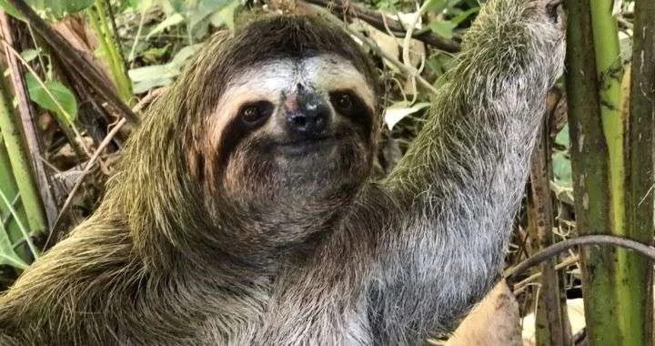 Centros de Información y Tour operadores