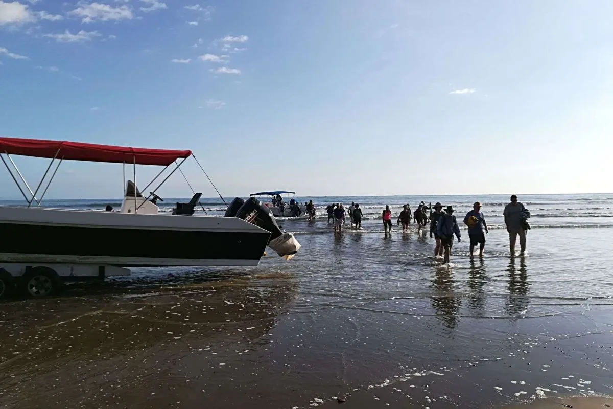 Marino Ballena National Park, whale watching tour