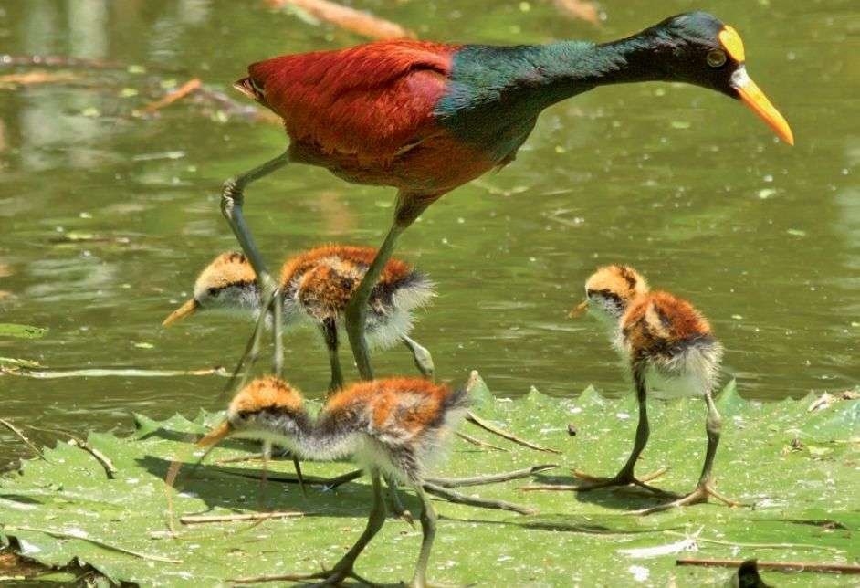 Mother's day