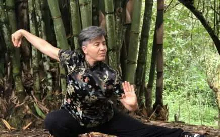 Tai Chi the supreme art - arte supremo